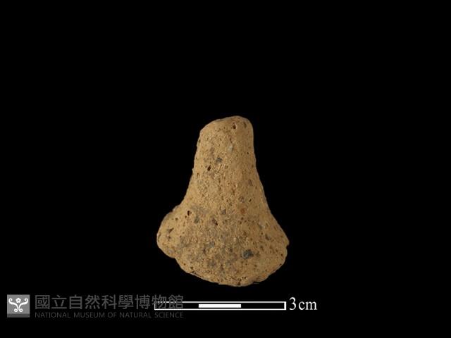 陶蓋鈕藏品圖，第2張