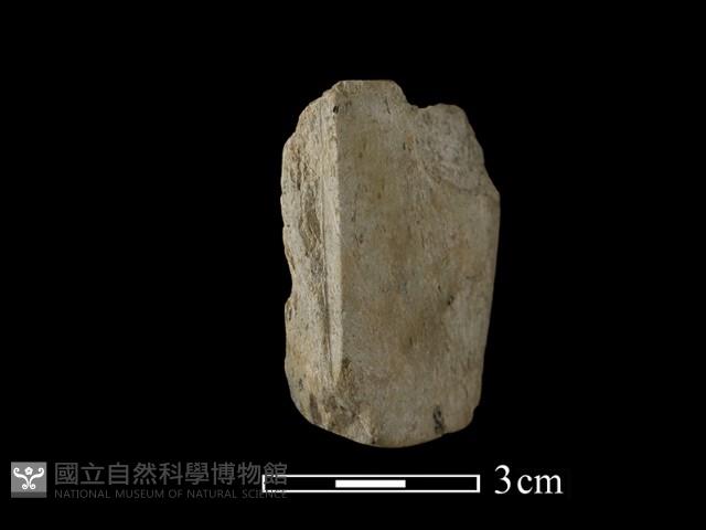 錛鑿形器藏品圖，第1張