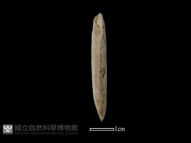 錛鑿形器藏品圖，第3張