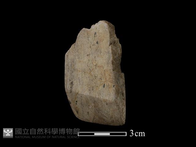 錛鑿形器藏品圖，第3張