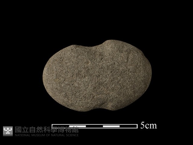 網墜藏品圖，第2張