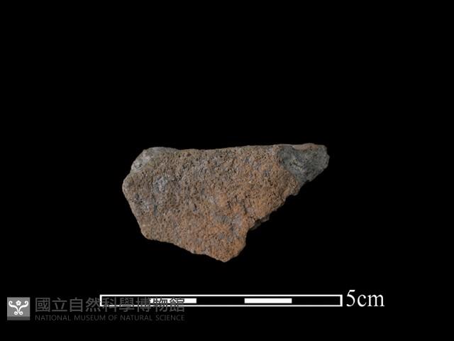 陶片藏品圖，第2張