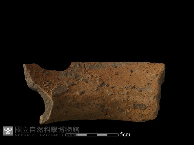 陶罐藏品圖，第2張