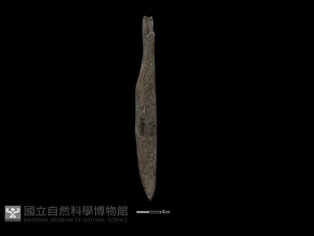 錛鑿形器藏品圖，第2張