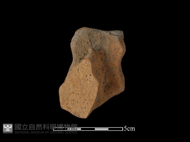 陶把藏品圖，第2張