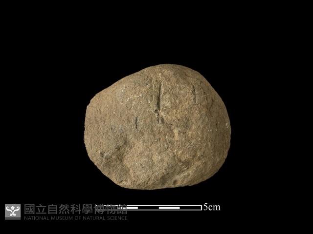 石片器藏品圖，第2張