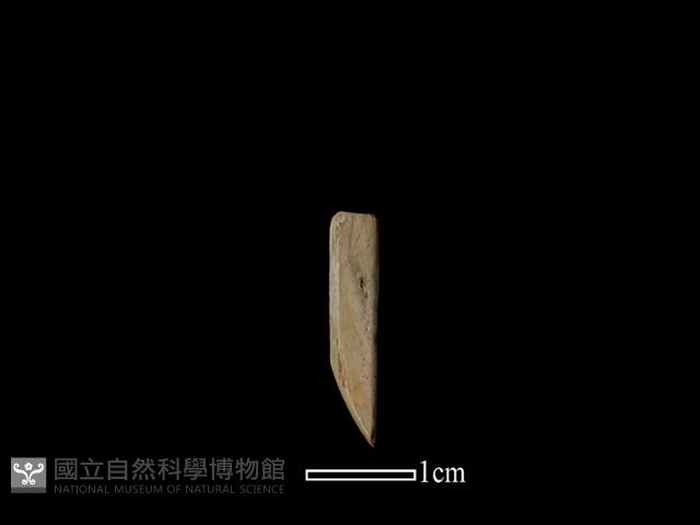 錛鑿形器藏品圖，第2張