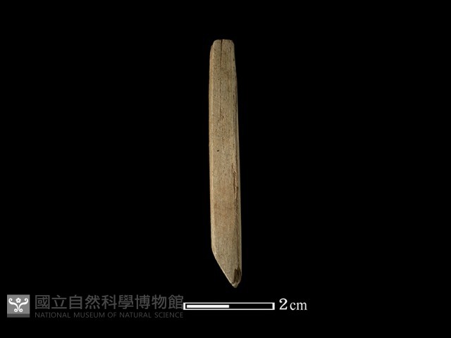 錛鑿形器藏品圖，第2張