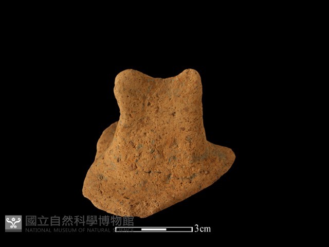 陶蓋鈕藏品圖，第3張