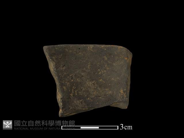 陶罐藏品圖，第2張