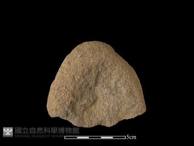 石片器藏品圖，第2張