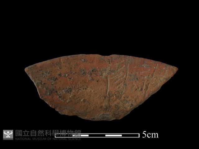 陶罐藏品圖，第1張