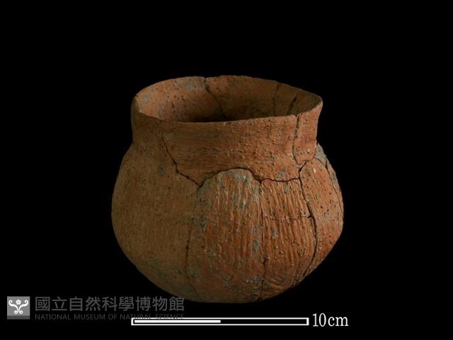 陶罐藏品圖，第3張