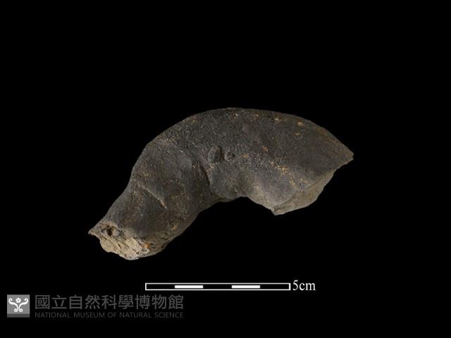 陶把藏品圖，第1張