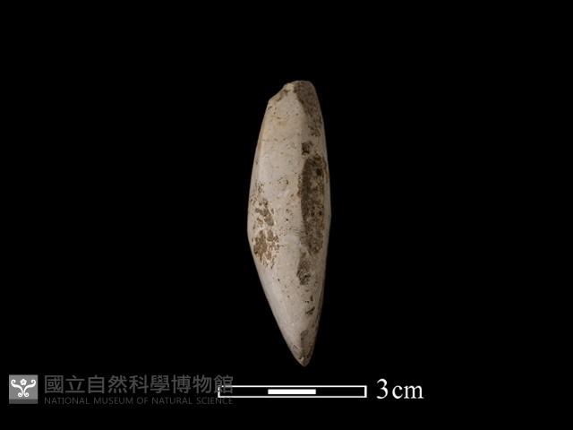 錛鑿形器藏品圖，第2張