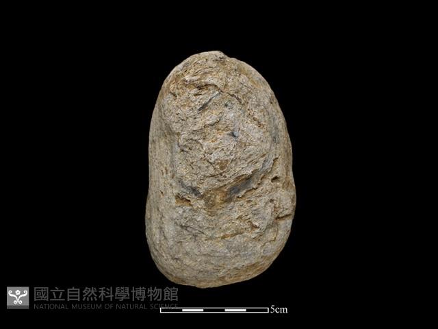 石鎚藏品圖，第2張