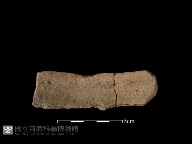 陶罐藏品圖，第1張