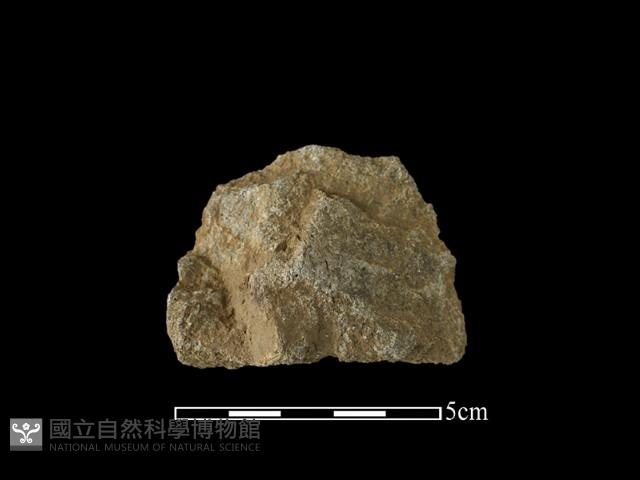 斧鋤形器藏品圖，第2張