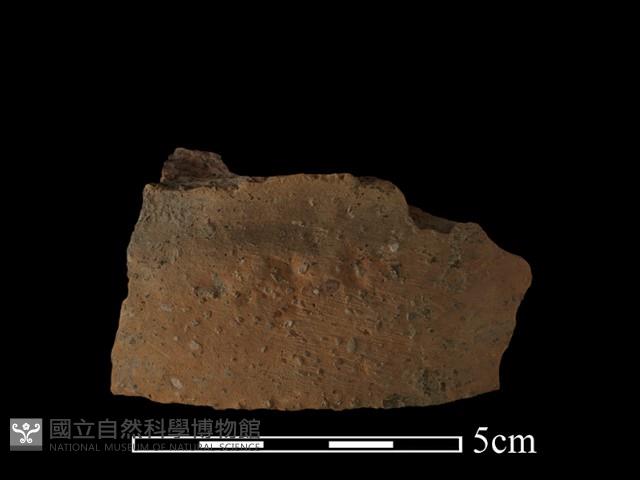 陶片藏品圖，第2張