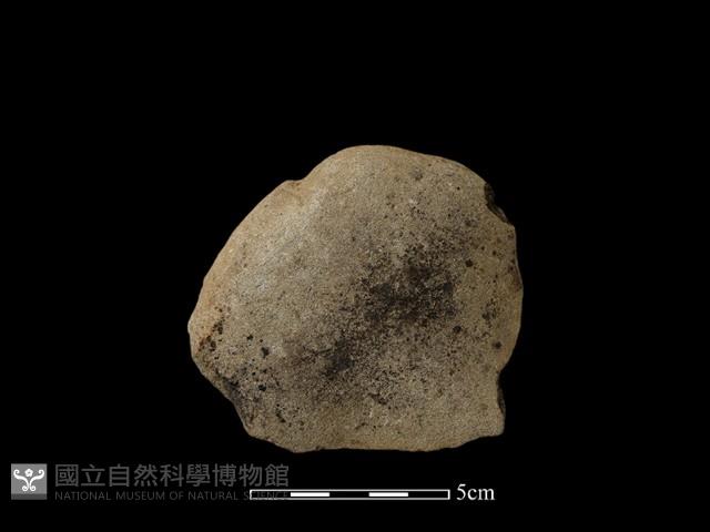 石片器藏品圖，第1張