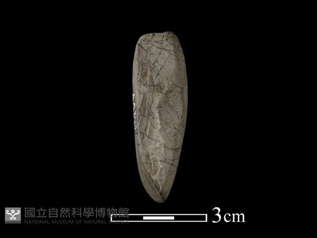 錛鑿形器藏品圖，第2張