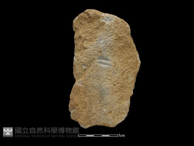 斧鋤形器藏品圖，第2張