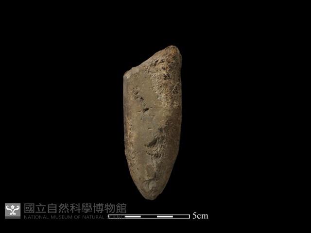 石鎚藏品圖，第2張