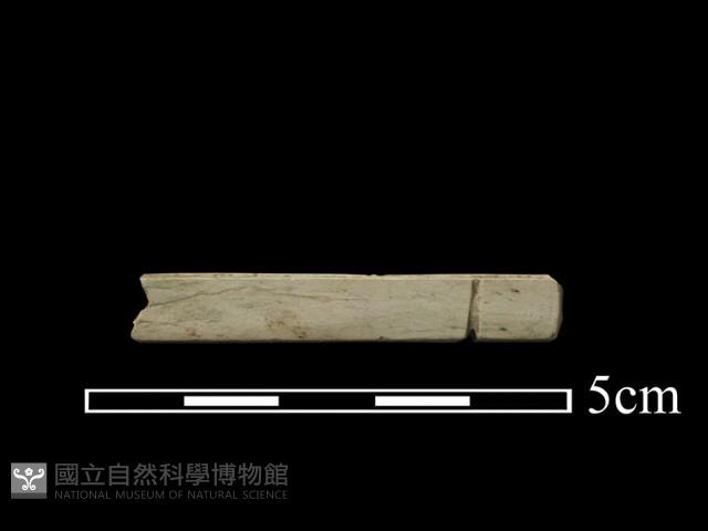 玉飾藏品圖，第1張