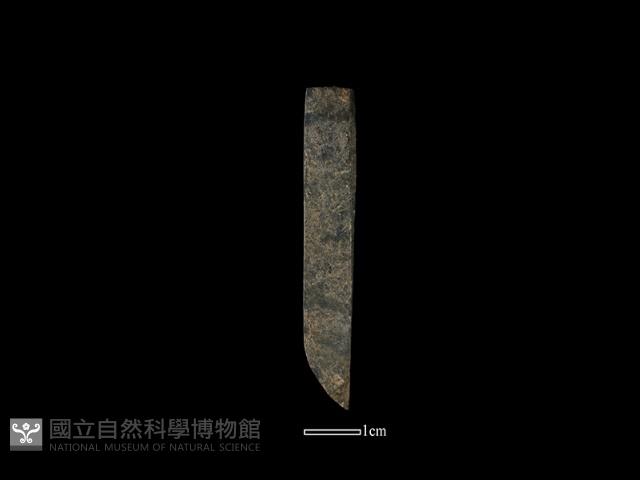 Accession Number:AA200908124 Collection Image, Figure 2, Total 3 Figures