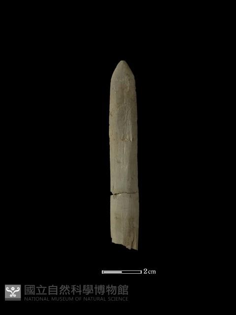 矛鏃形器藏品圖，第2張