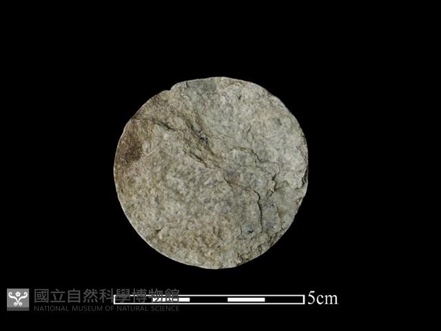 玉核藏品圖，第2張