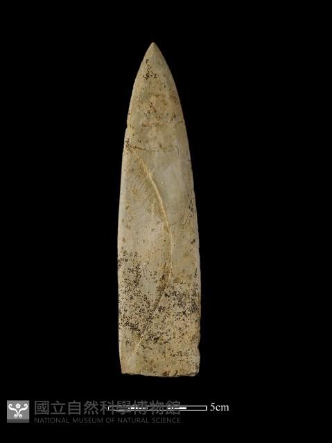 矛鏃形器藏品圖，第2張