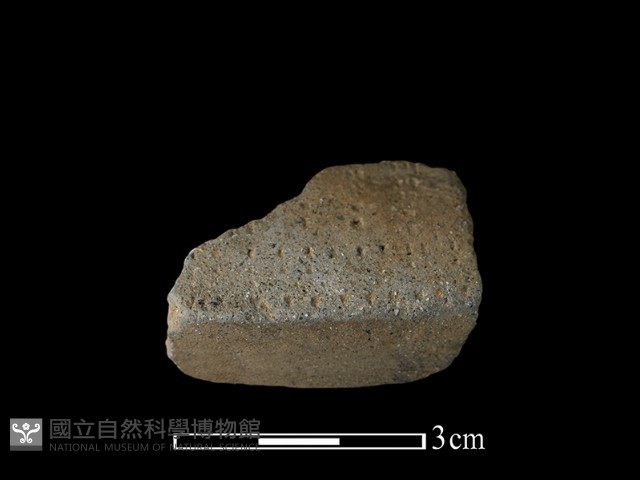 陶片藏品圖，第3張
