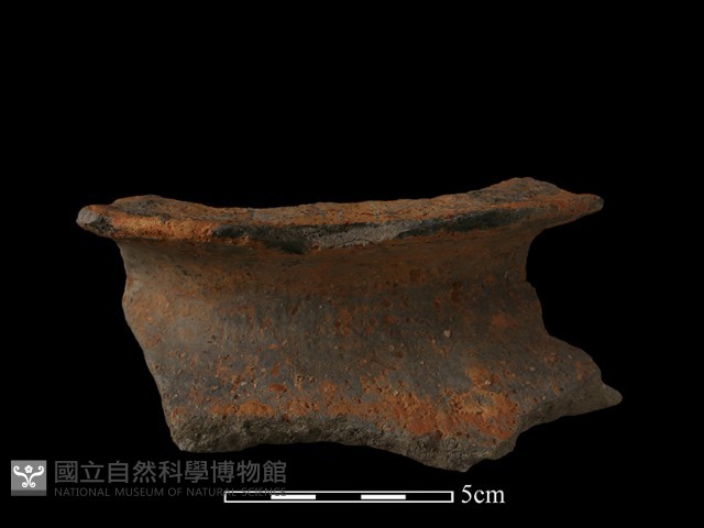 陶罐藏品圖，第2張