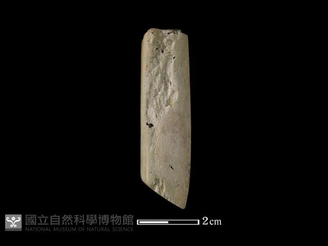 錛鑿形器藏品圖，第3張