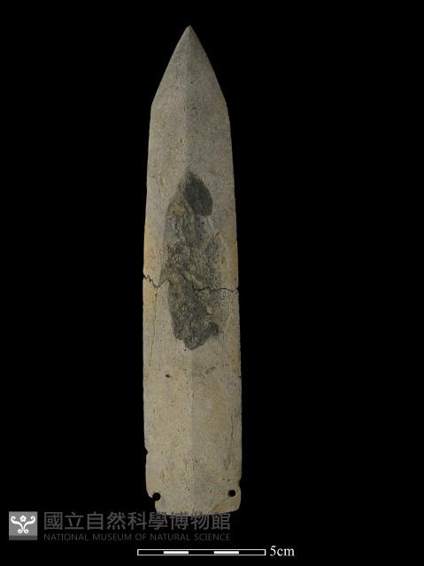 矛鏃形器藏品圖，第2張