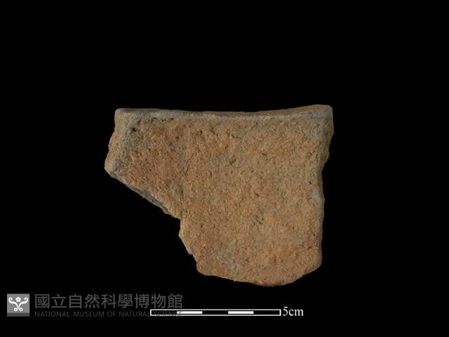 陶片藏品圖，第2張