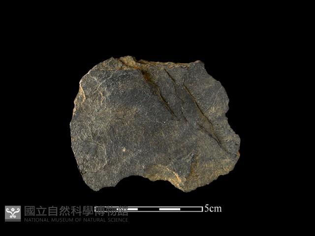 石片器藏品圖，第2張