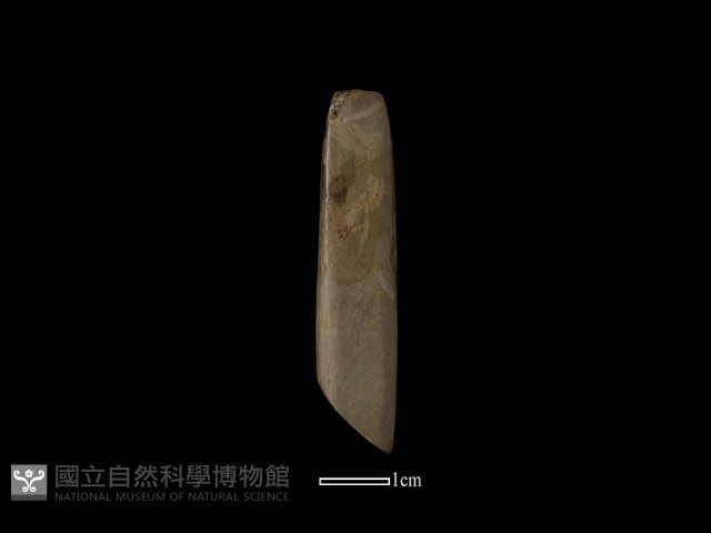 錛鑿形器藏品圖，第1張