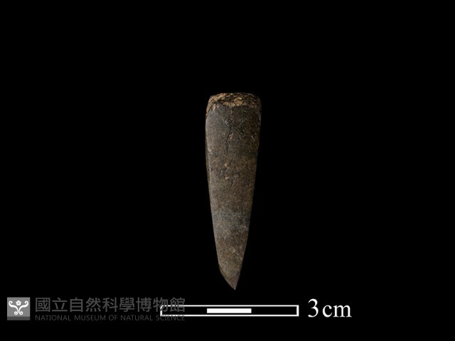 錛鑿形器藏品圖，第2張