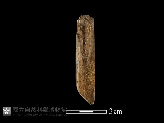 錛鑿形器藏品圖，第3張