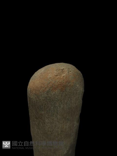 石杵藏品圖，第1張