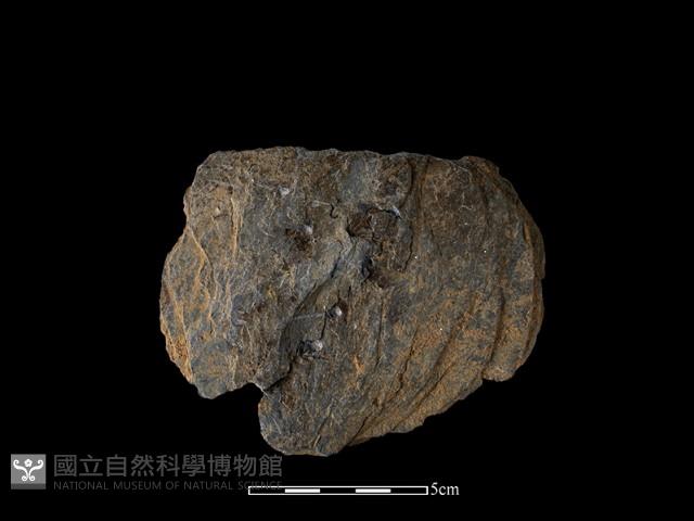 打製石器藏品圖，第1張