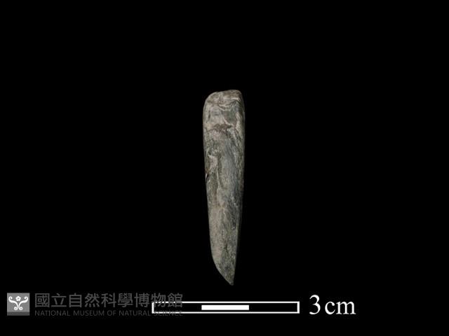 錛鑿形器藏品圖，第1張