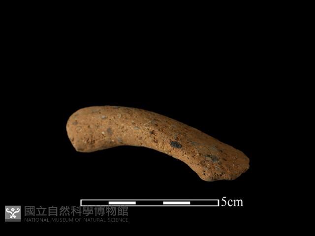 陶把藏品圖，第1張