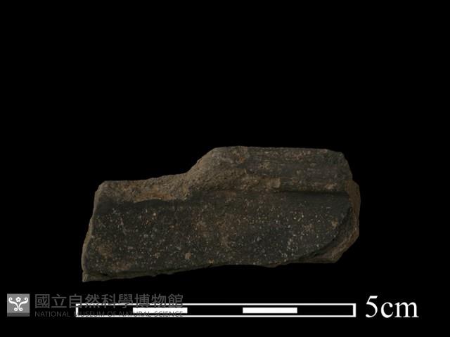 陶罐藏品圖，第1張