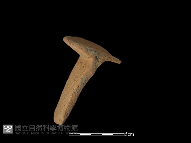 陶片藏品圖，第1張