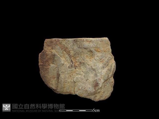 斧鋤形器藏品圖，第1張