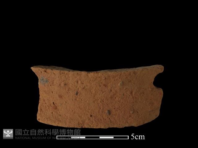 陶片藏品圖，第1張