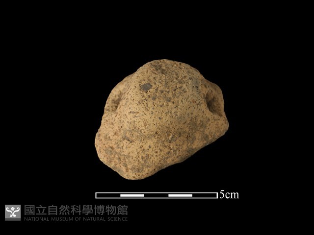 陶把藏品圖，第1張
